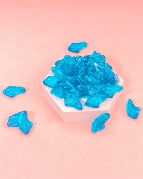 Fruchtgummi Eisbären – Klassiker 5