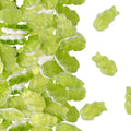 Schaum Frösche, 1kg