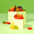 Fruchtgummi Tiergarten – mit Fruchtsaft 3