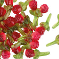 Fruchtgummi Rosen mit Stiel, 500g