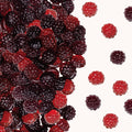 Fruchtsaft Beeren 200g