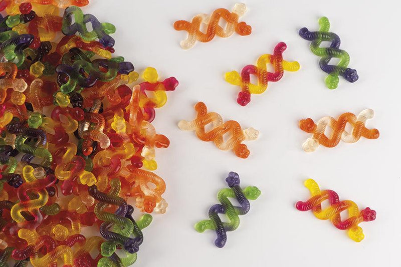 Fruchtgummi Squiggle Twist - Gummi Bären Land